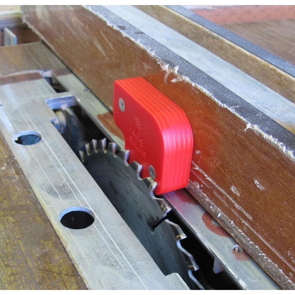 Magnetic Shims