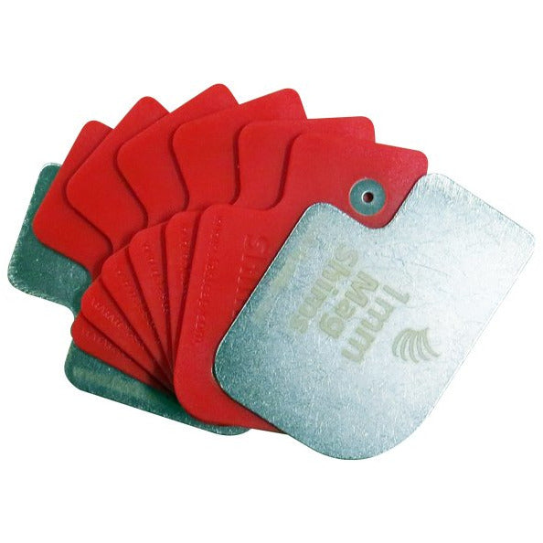 Magnetic Shims
