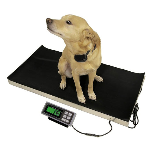 Veterinary Scale 700lb x 0.2lb